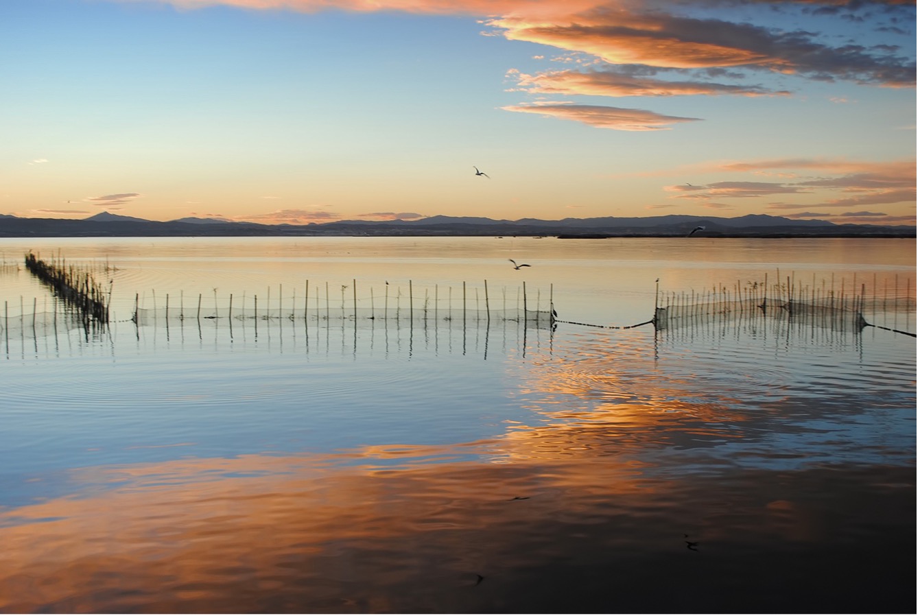 Parque Natural de L’Albufera (Marcela Escandell, 2013)