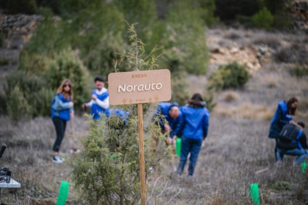 Norauto refuerza su compromiso con el medioambiente reciclando más de 5.500 toneladas de productos y apostando por energías renovables